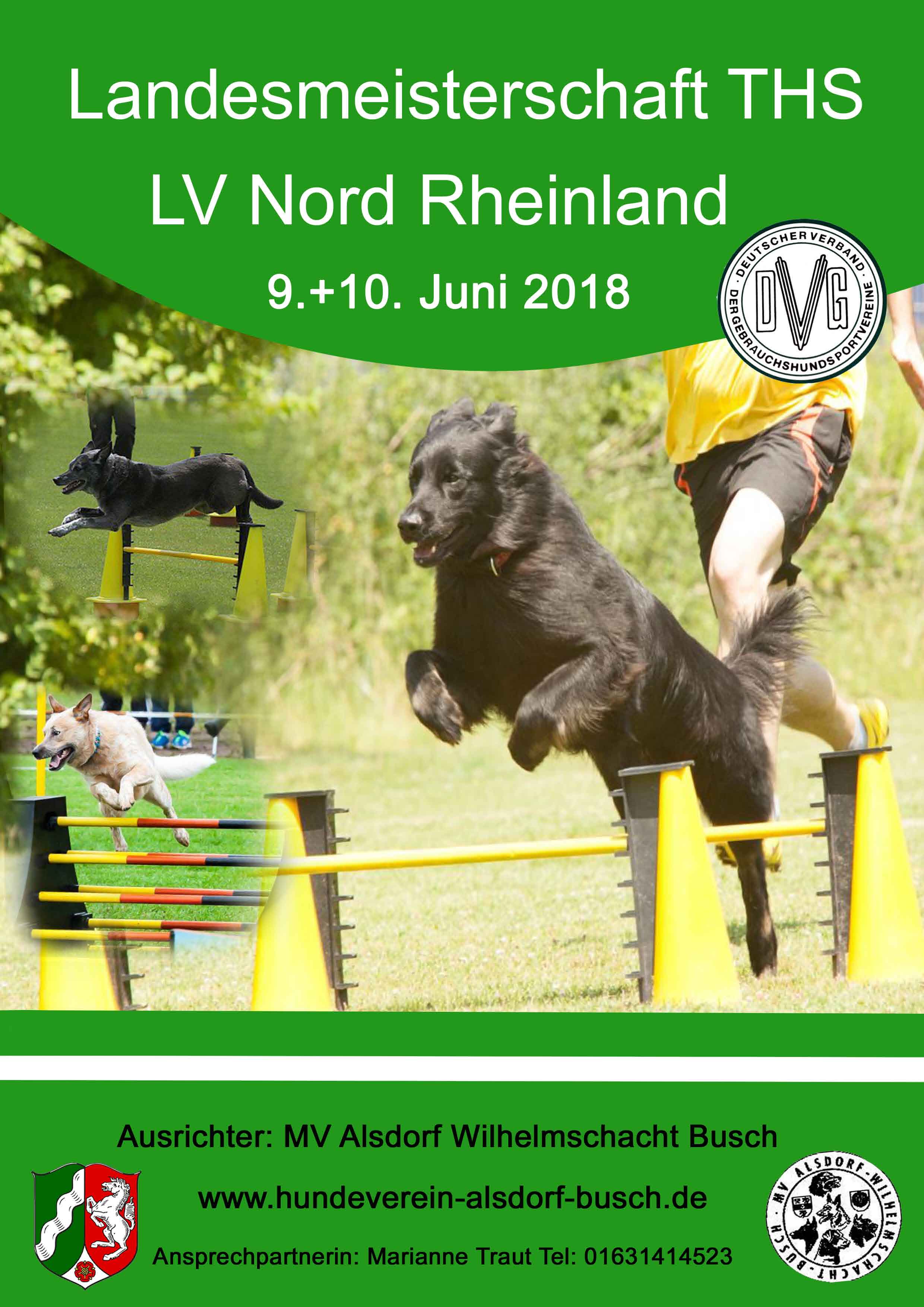 Plakat LM THS 