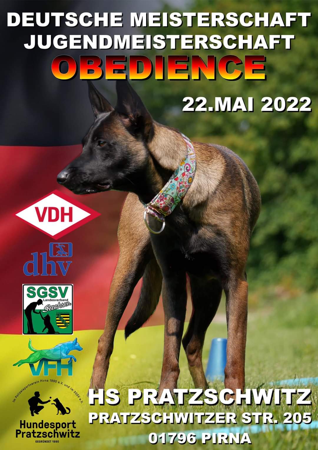 VDH DM Obedience 2022